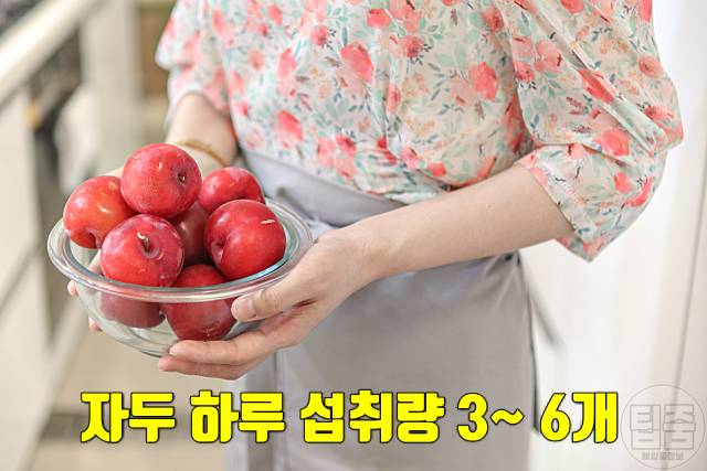 자두 효능 자두하루섭취량 자두부작용