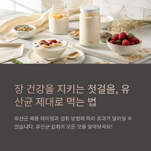 장 건강을 지키는 첫걸음, 유산균 제대로 먹는 법