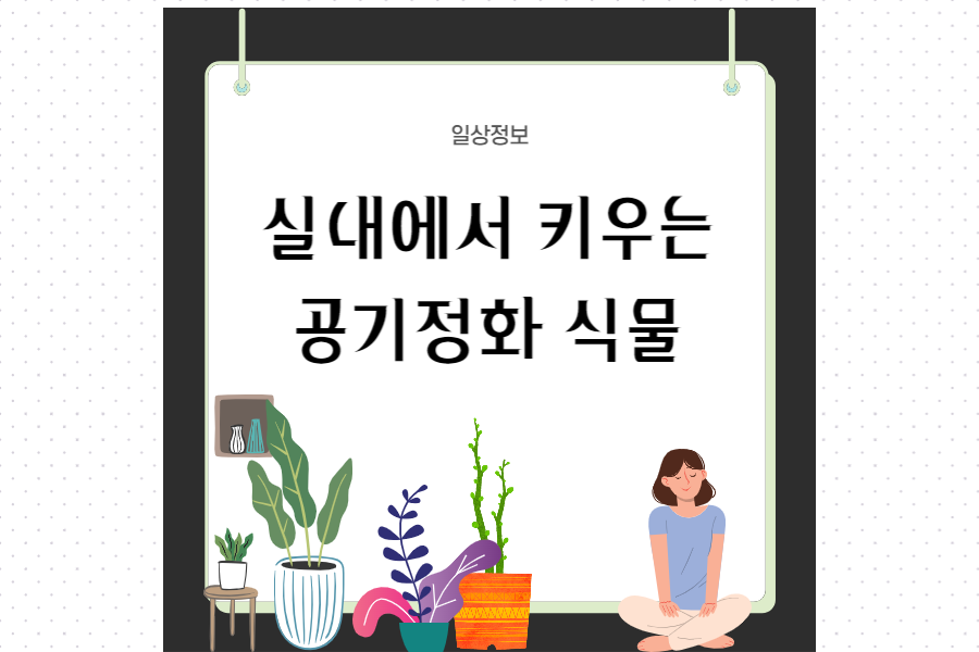 실내에서-키우는-공기정화식물-섬네일