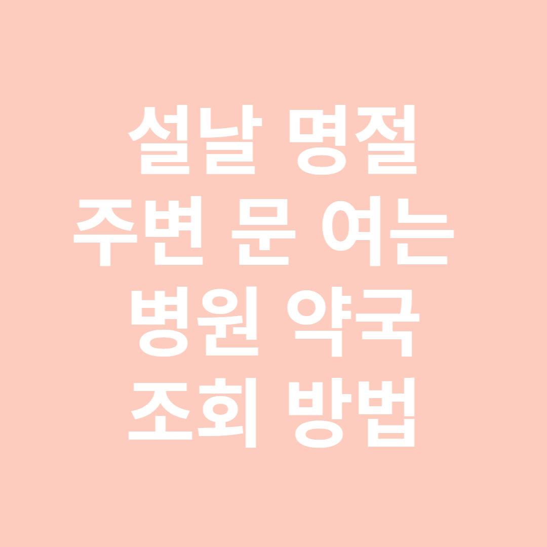 설날 명절 주변 문 여는 병원 약국 조회