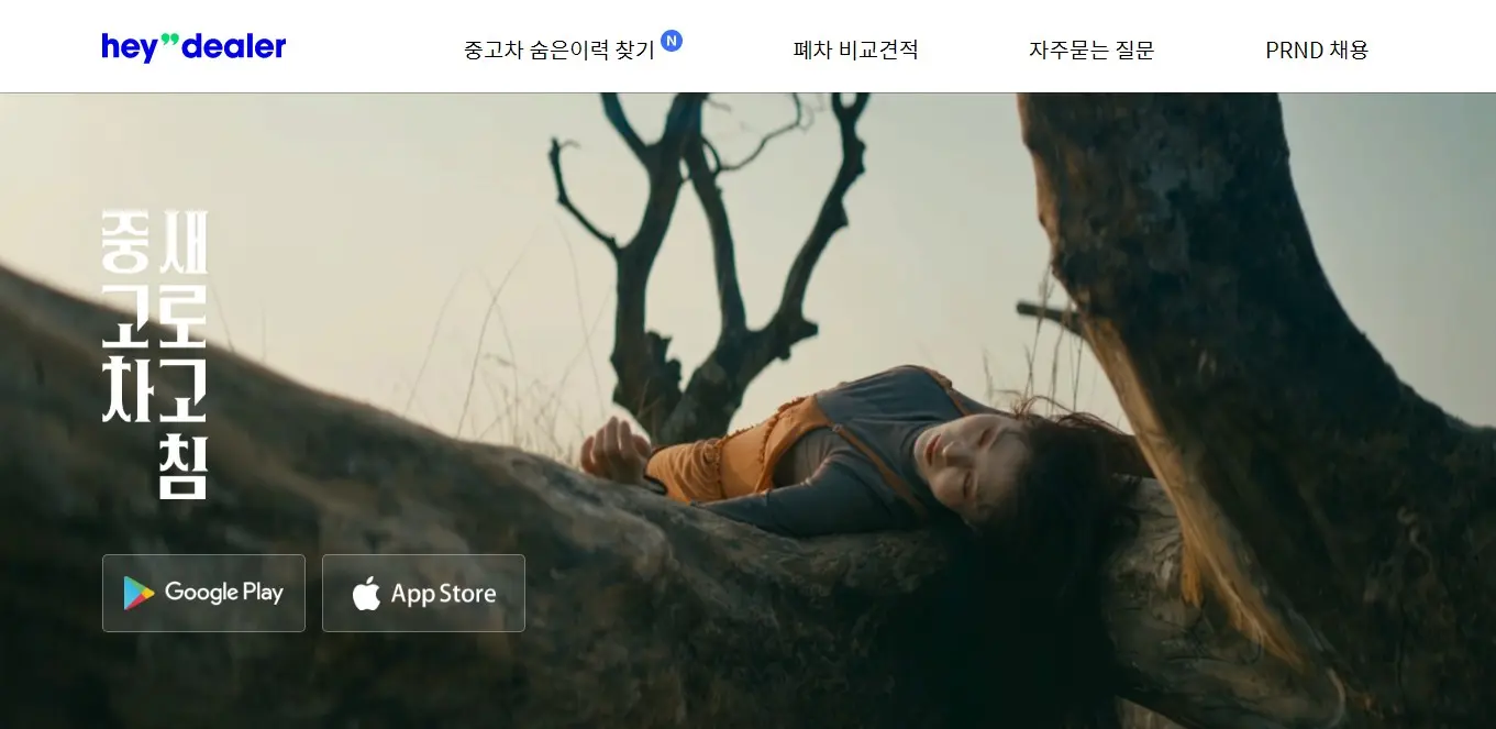 헤이딜러 폐차비용견적