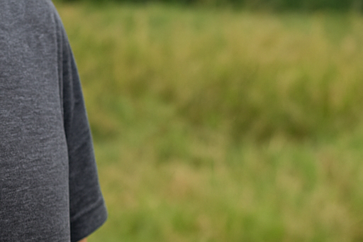 쯔쯔가무시 증상 분석