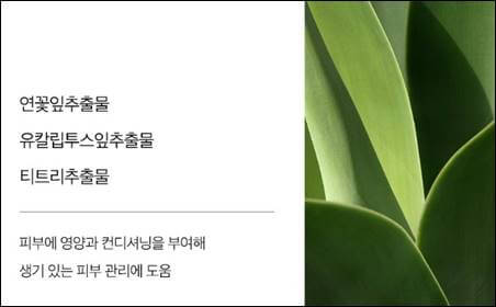 썬크림 선쿠션 추천 Best 5