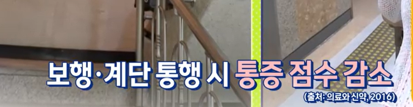 프로테오글리칸