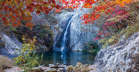 전북 부안 변산반도 국립공원 단풍