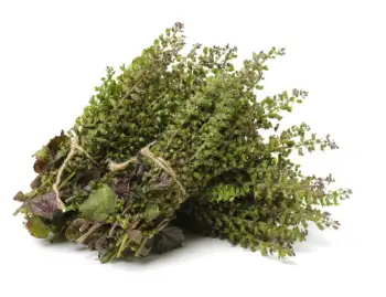 들깨 가격 및 효능, 영양소와 먹는 방법