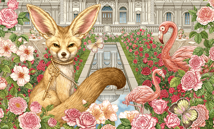 사막여우 도나 D