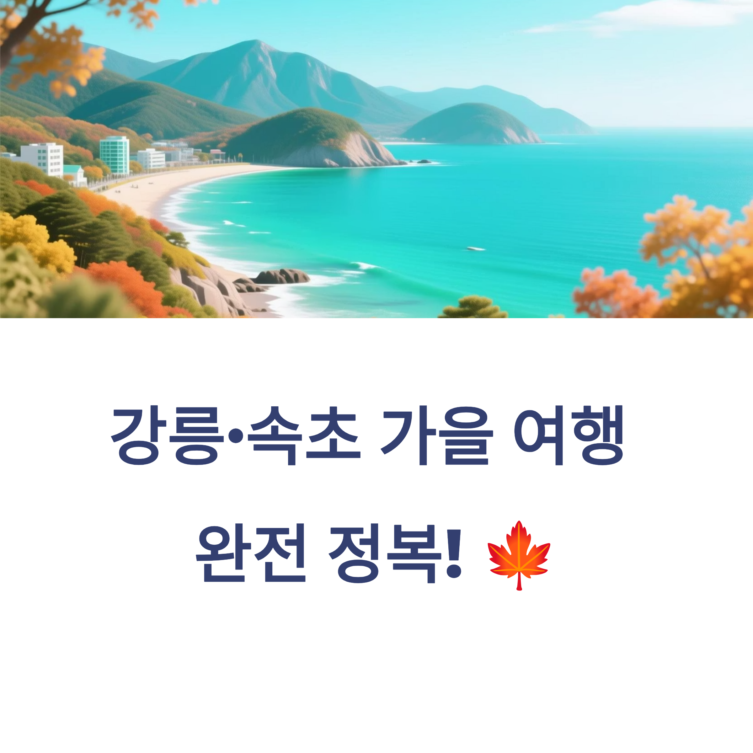 강릉 속초 가을 여행 완전 정복! 맛집, 카페, 드라이브 코스까지