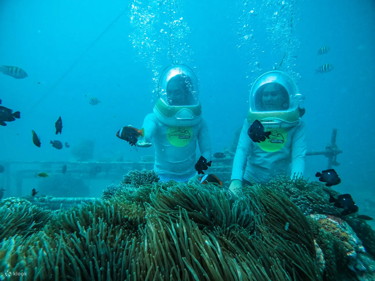 다낭액티비티-씨워킹스노클링1 