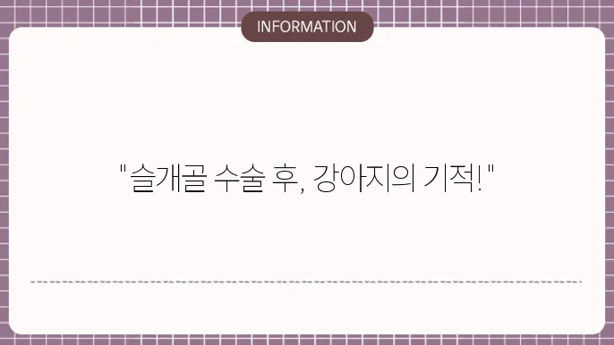 수술 후 강아지 회복하는 모습