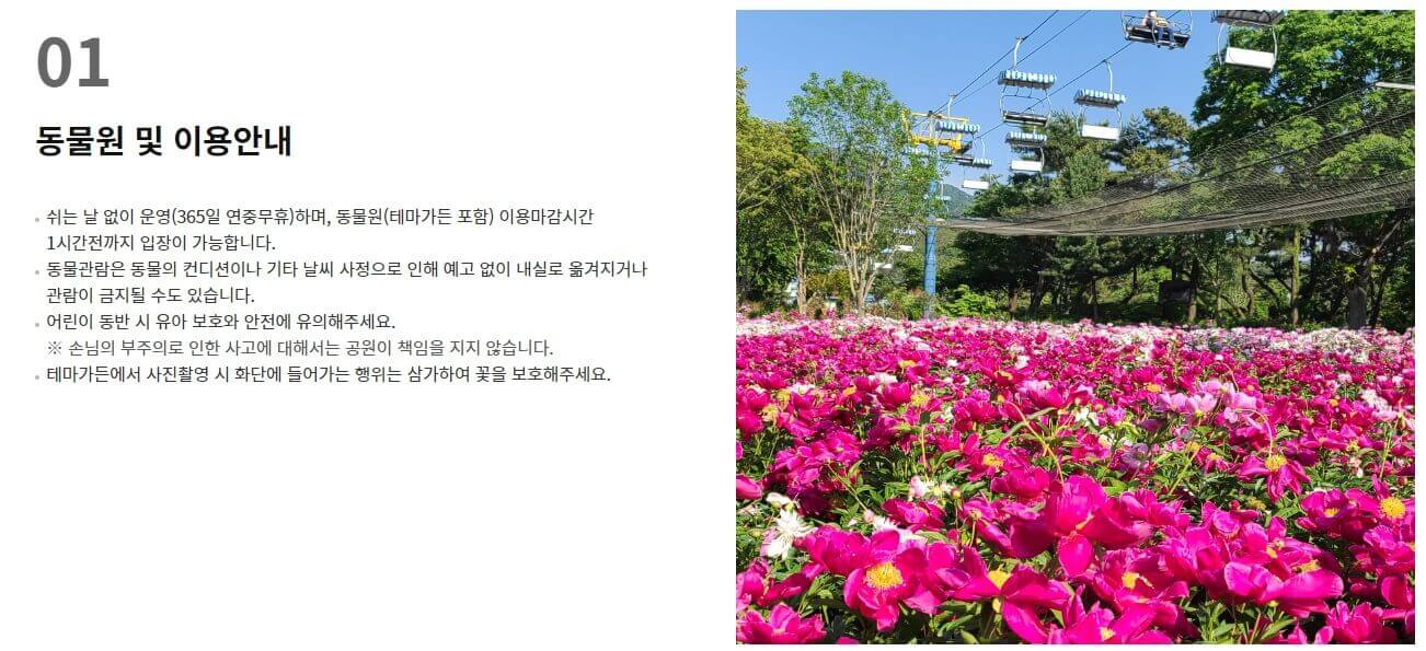 서울대공원 장미원축제