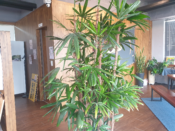 태안 카페 소개: 로스터리 카페 태안 커피집_화장실