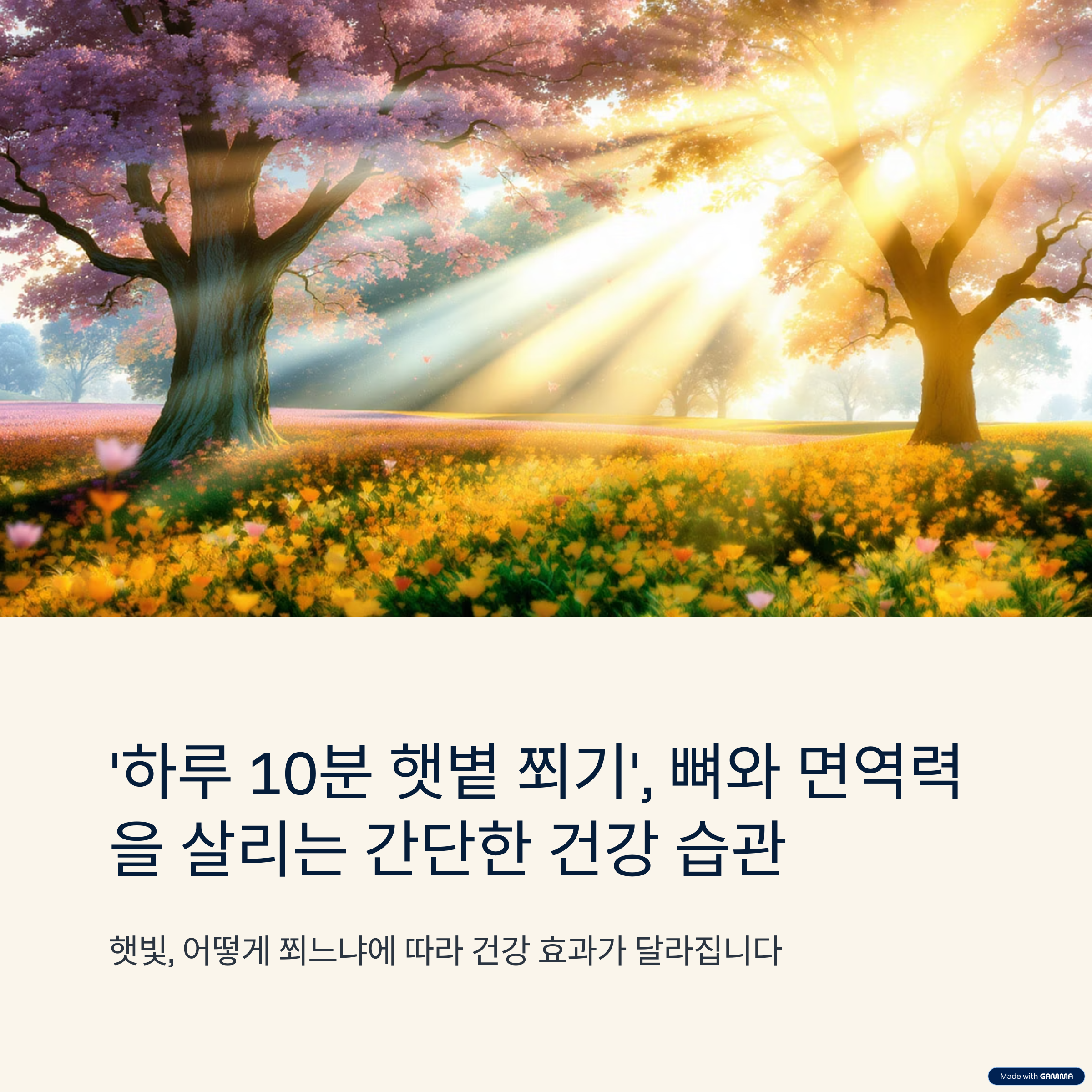 &lsquo;하루 10분 햇볕 쬐기&rsquo;, 뼈와 면역력을 살리는 간단한 건강 습관