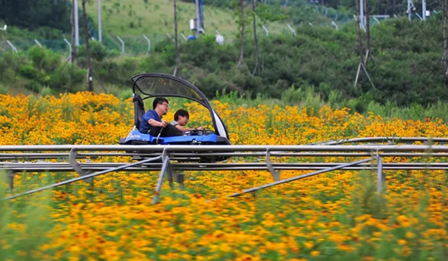 평창 가볼만한곳 베스트10
