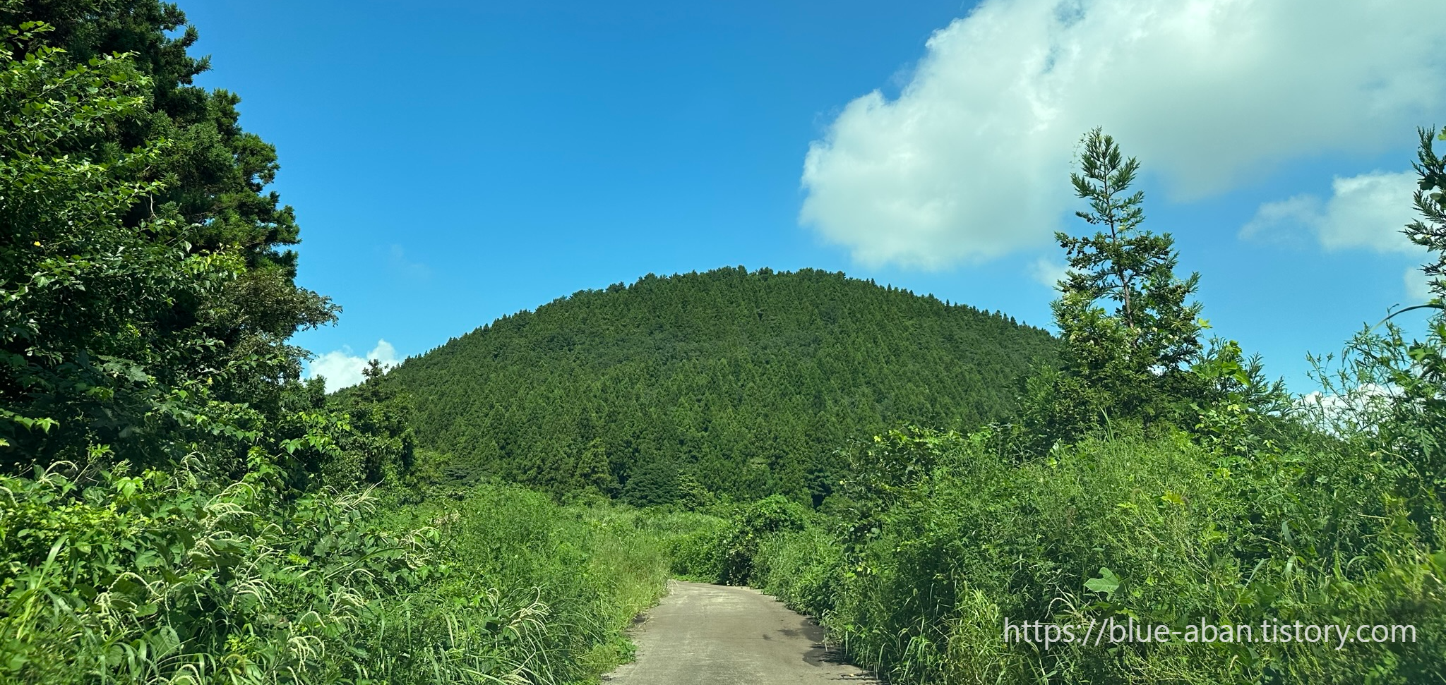 우진제비 오름 전경