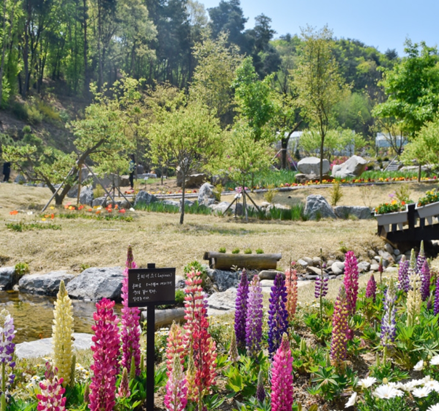 동화마을수목원