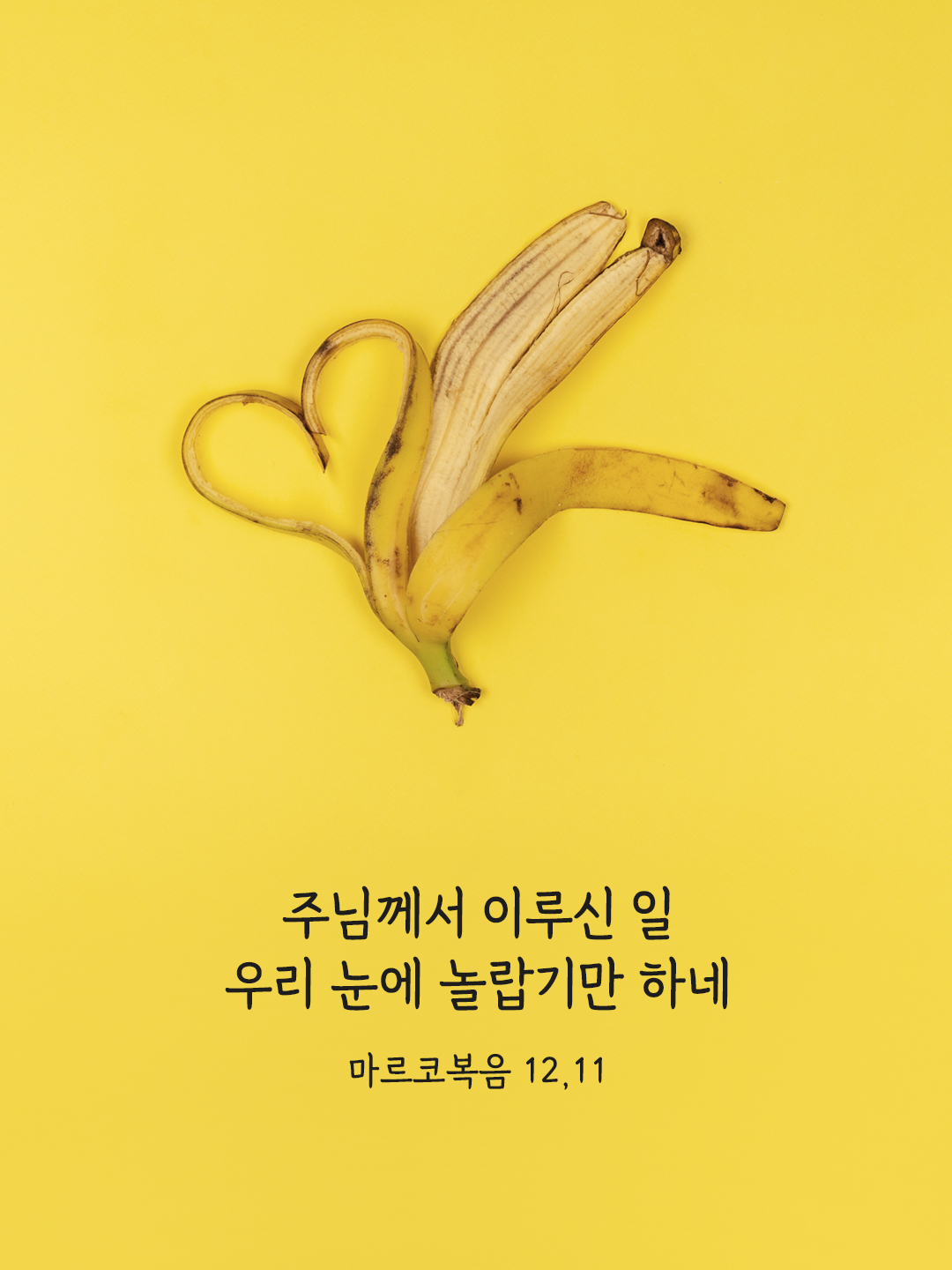 주님께서 이루신 일 우리 눈에 놀랍기만 하네. (마르코복음 12,11)
