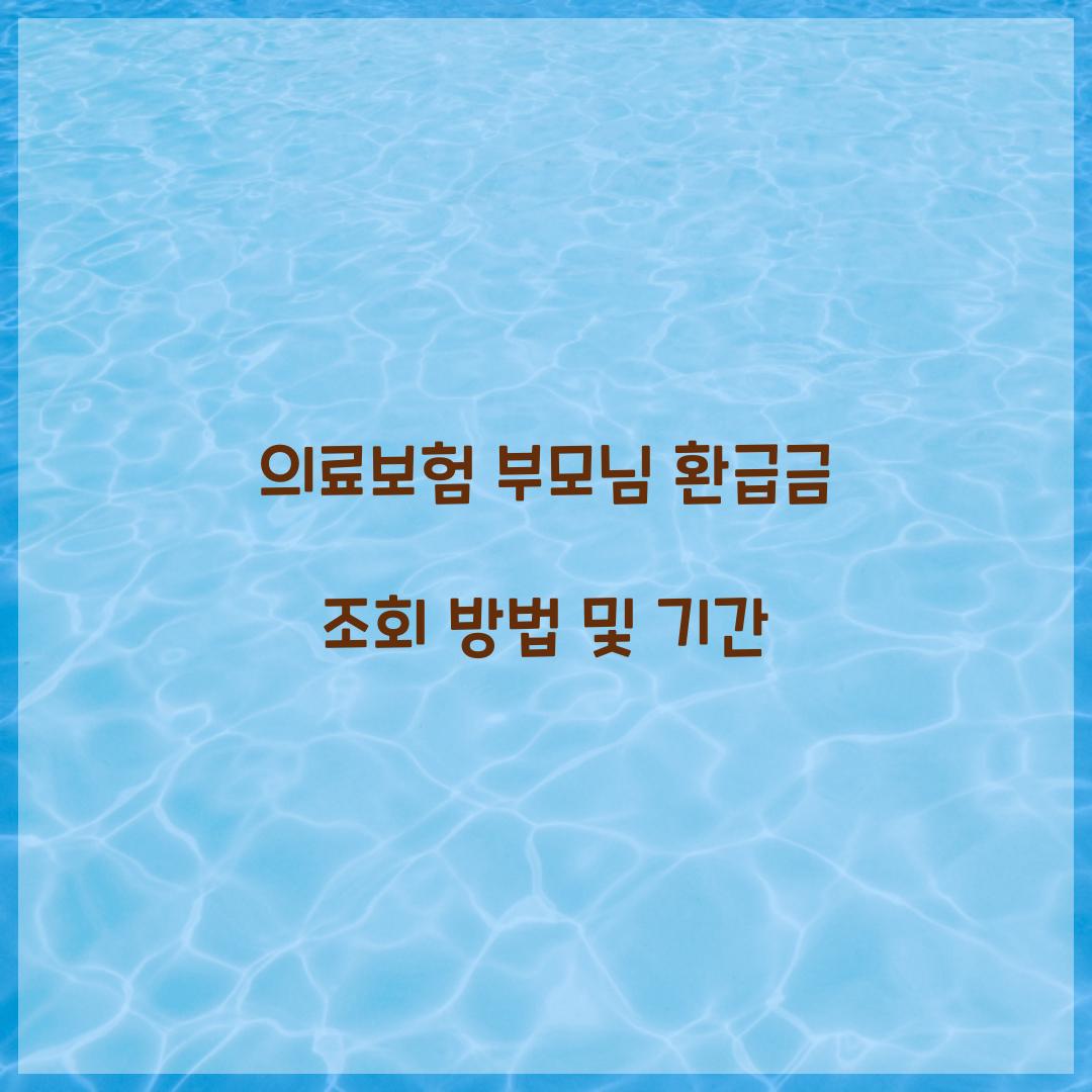 의료보험 부모님 환급금