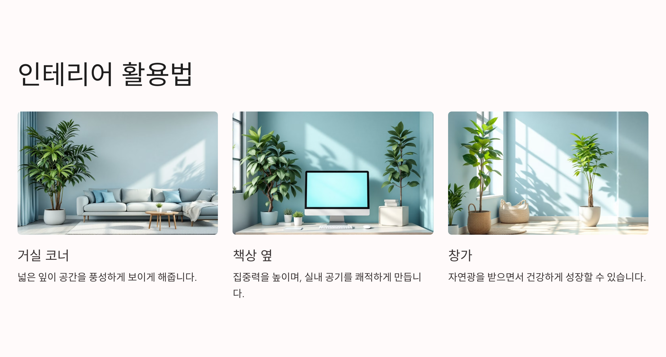 인테리어 활용사진