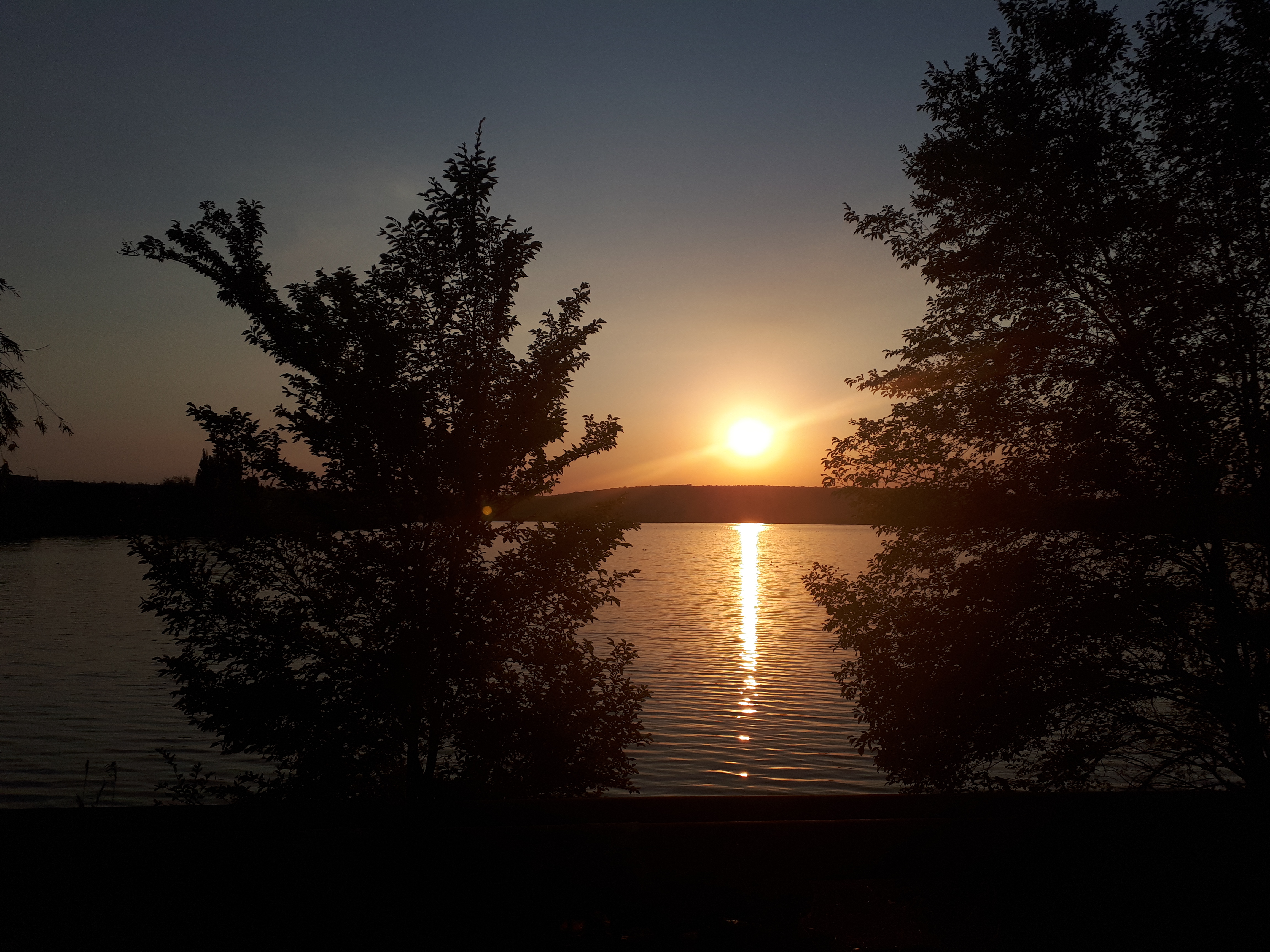 우크라이나 바실리우카 나무 사이 석양의 드니프로 강변 풍경