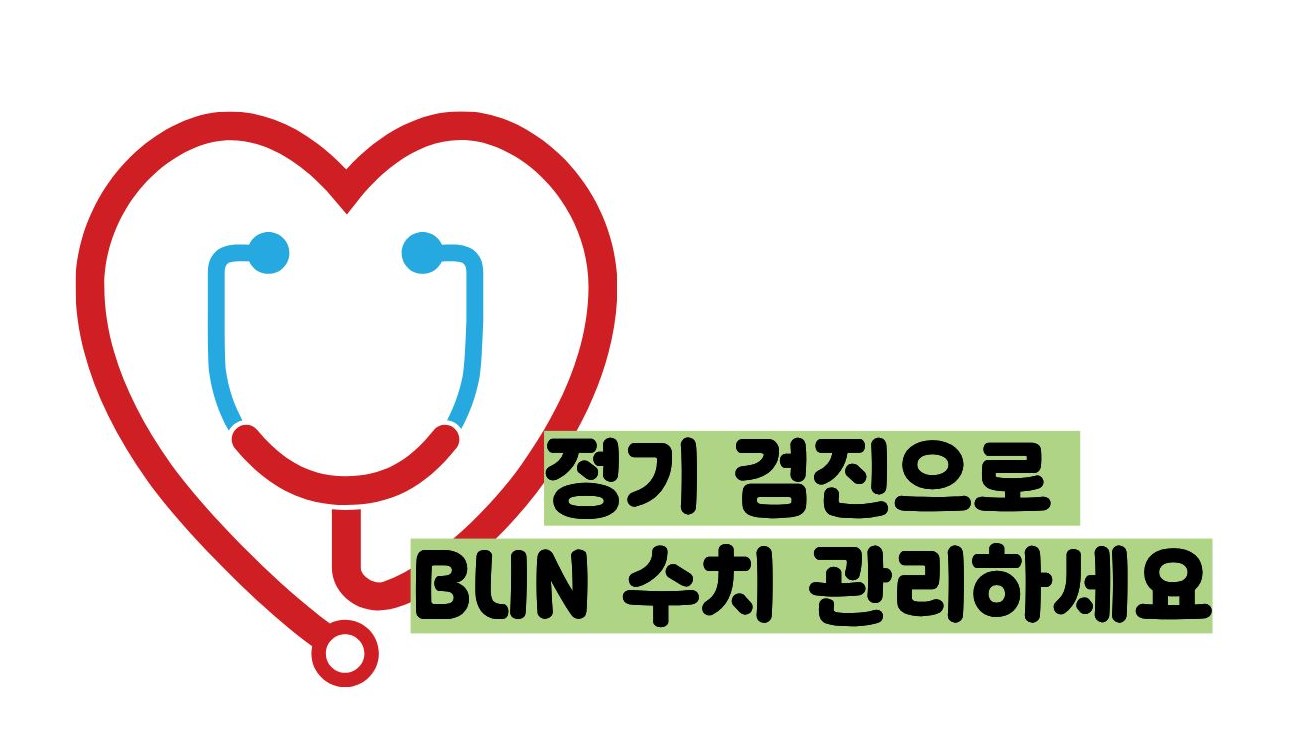 BUN 수치