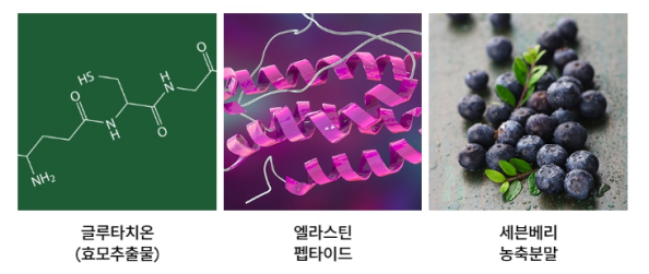 탈모에 좋은 음식과 탈모에 나쁜 음식