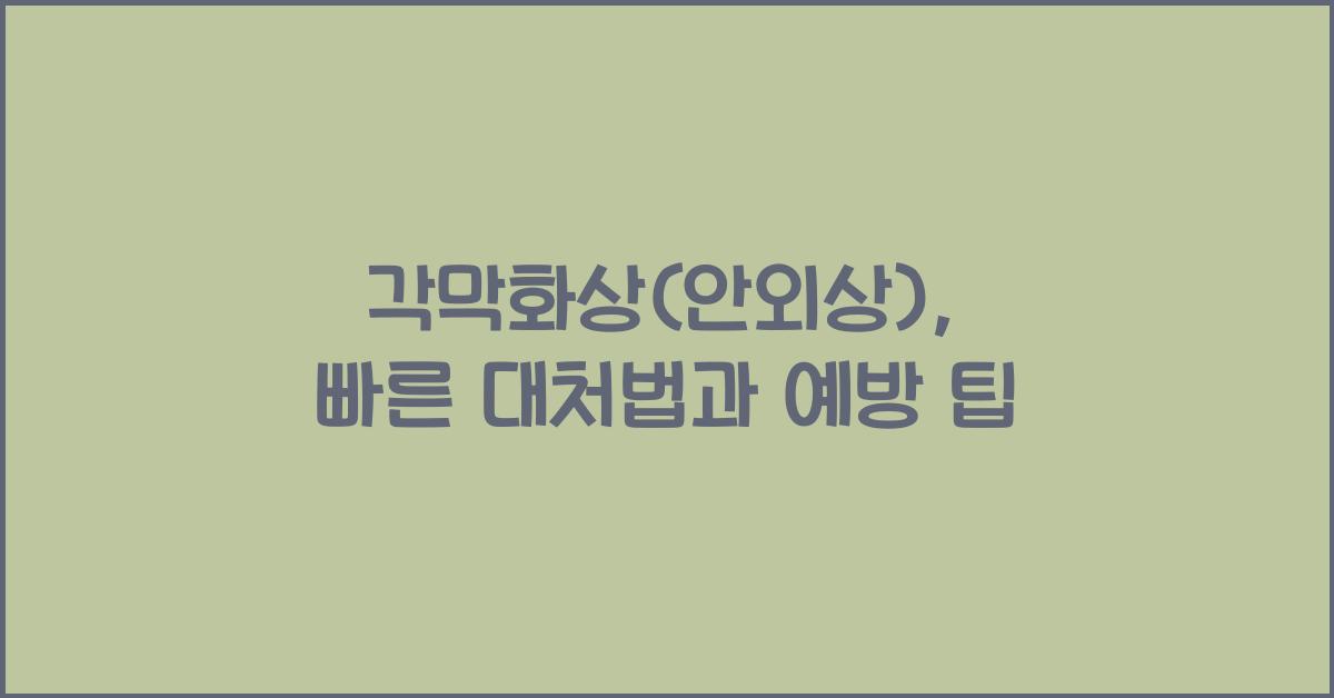 각막화상(안외상)