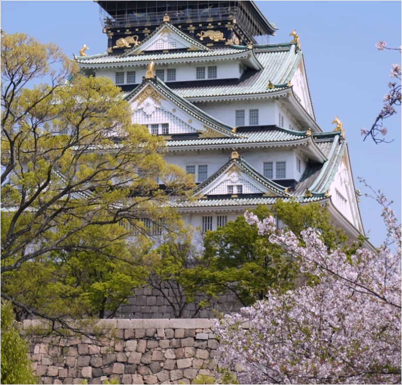 오사카-벚꽃-개화시기