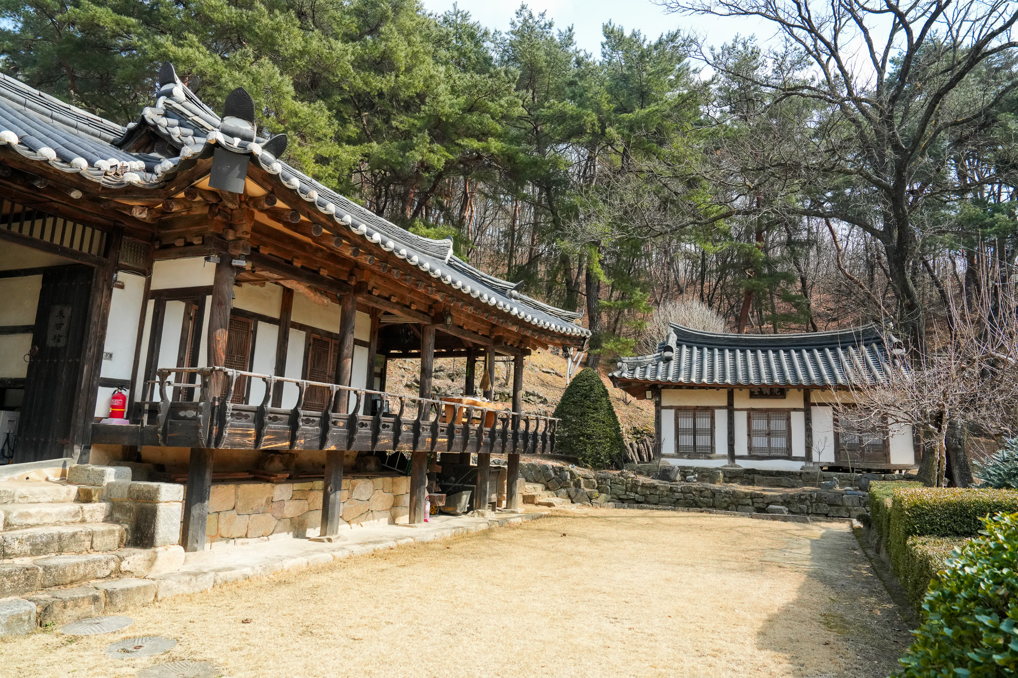 2025 봄꽃 축제 취소 연기 지역