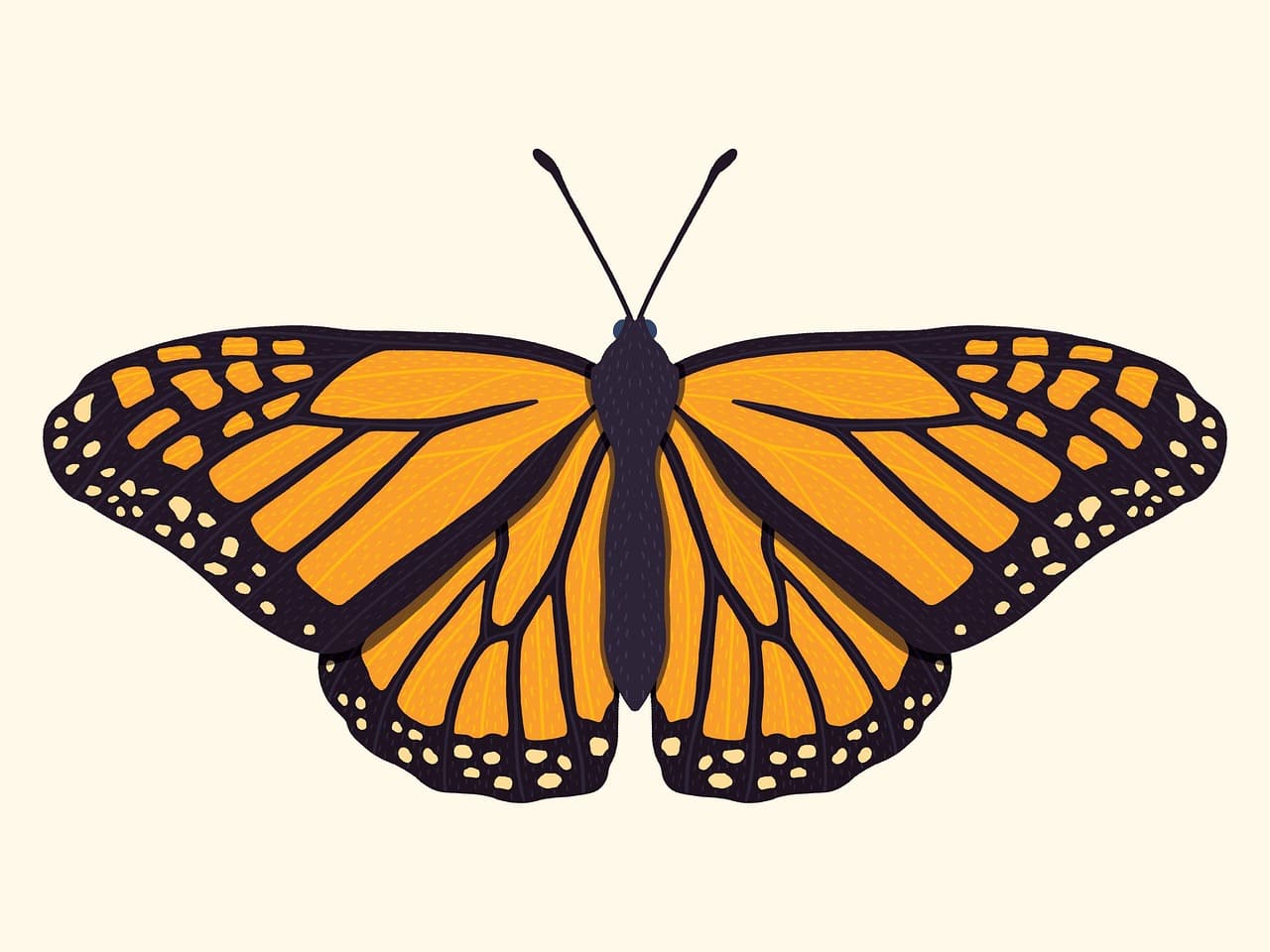 사망 후 이메일 계정은 어떻게 처리되는가? (지메일 중심)