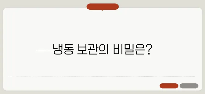 냉동실에서 적정 온도로 오랜 시간 동안 보관하는 최적의 조건