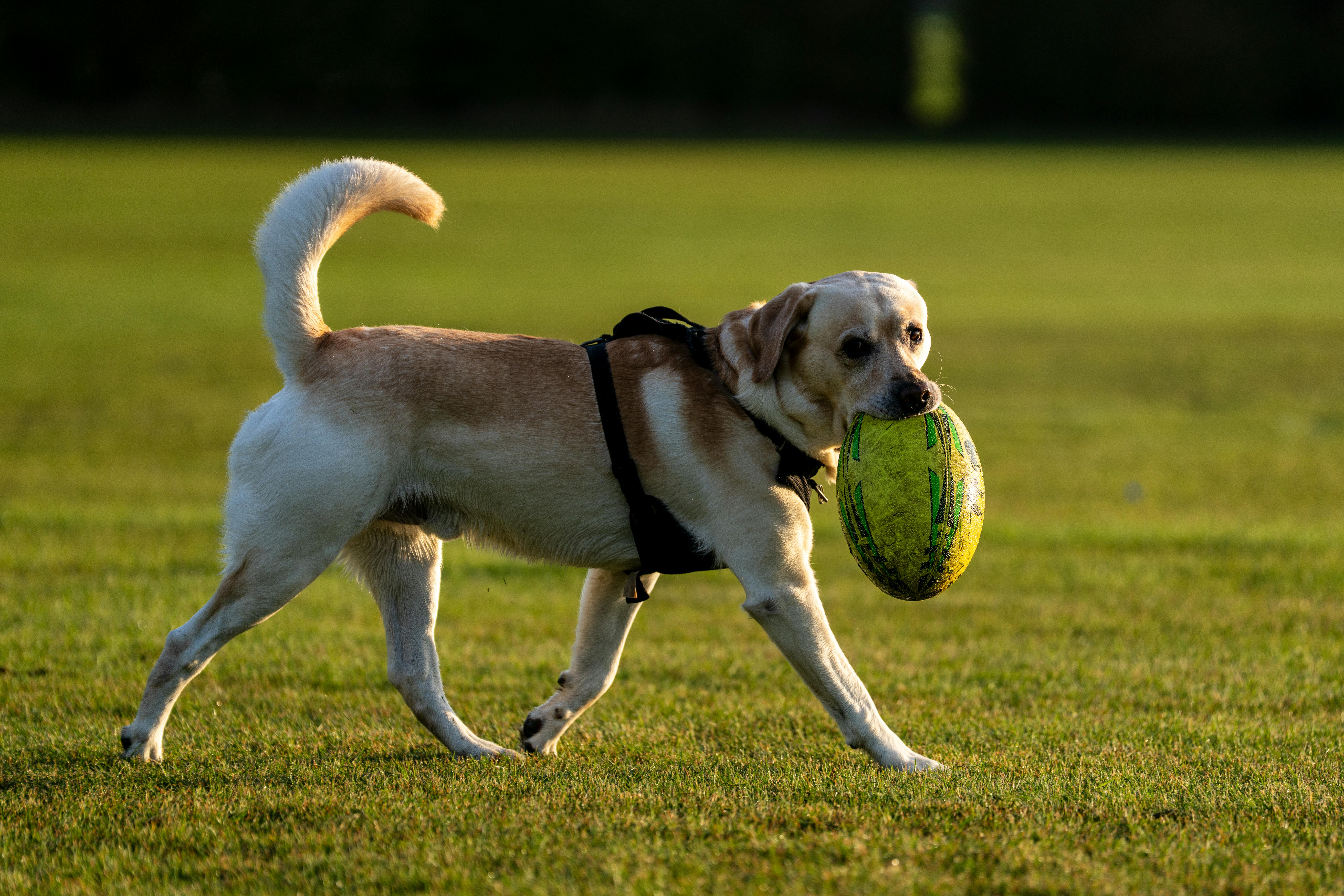 불길 위를 걷는을 상징하는 이미지
