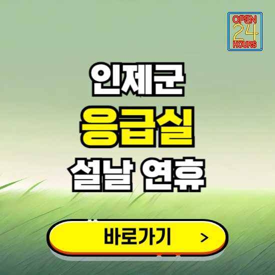 인제군 설날 연휴 비상진료 응급실 병원 찾기 ❘ 내근처 24시 야간 심야 휴일 가능한 곳