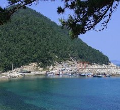 완도여객선터미널 청산도 배편 예약과 시간표 및 운임요금 및 주차요금 관련사진