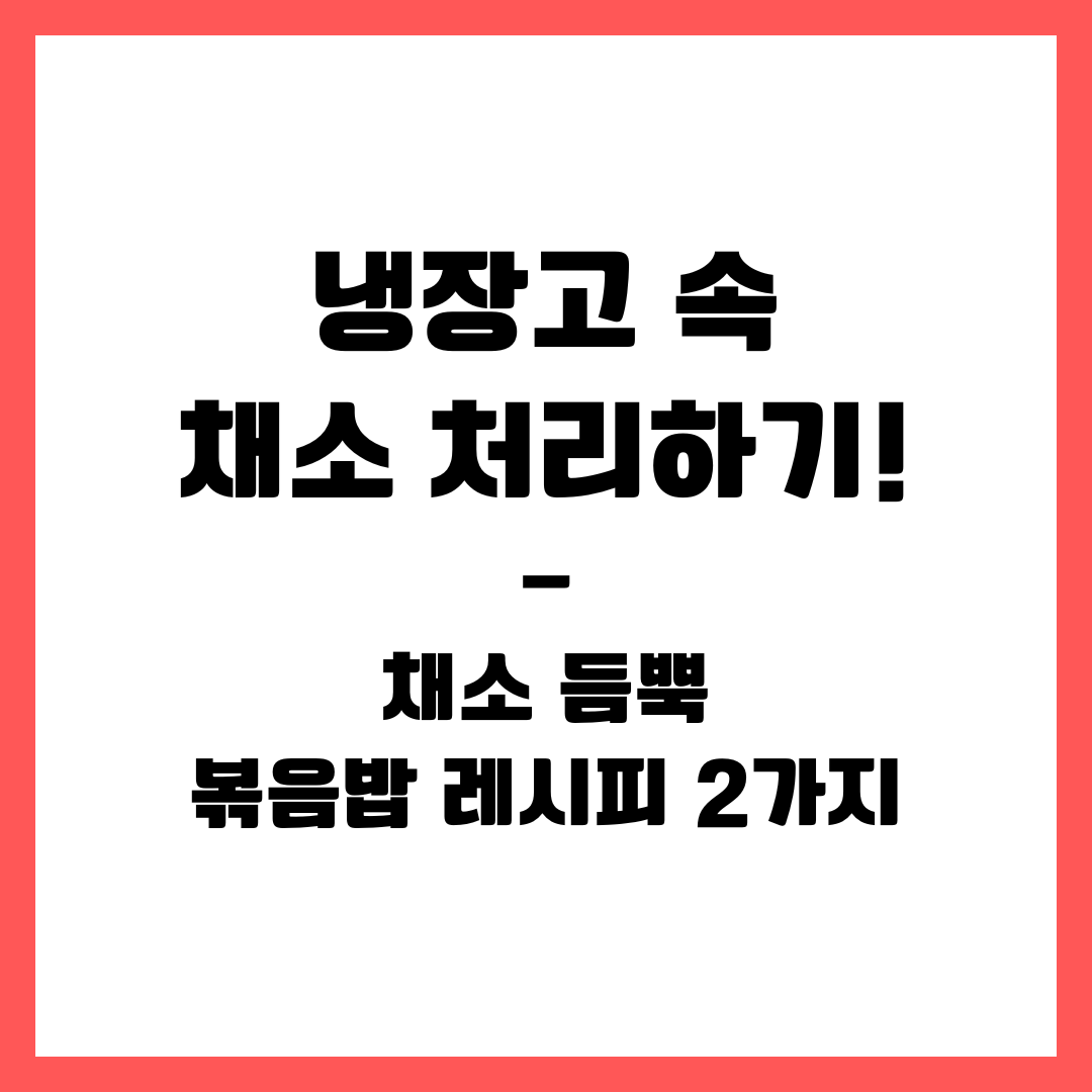 냉장고 속 채소 처리하기! 채소 듬뿍 볶음밥 레시피 2가지