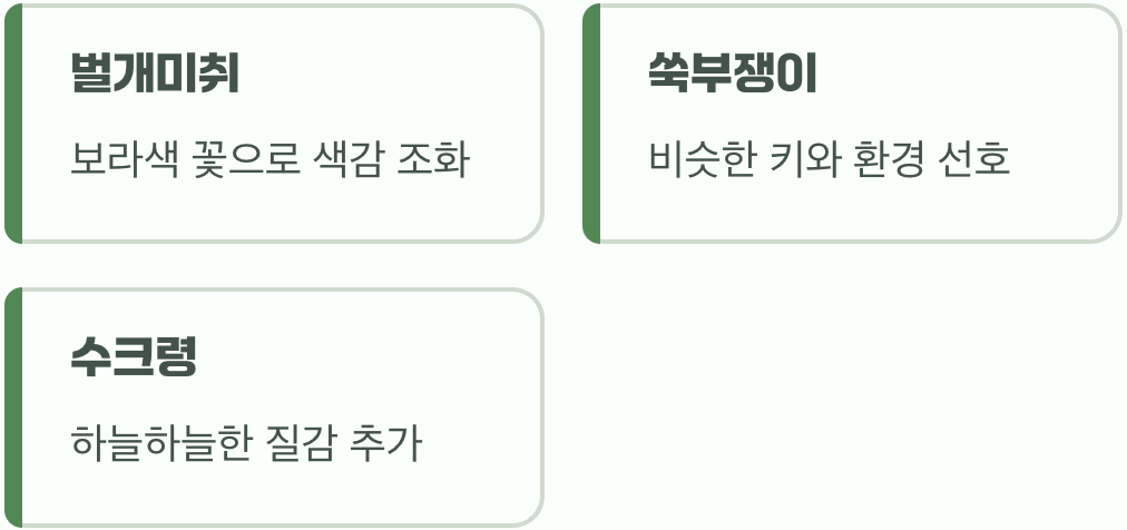 자연스러운 어울림, 함께 심으면 좋은 식물들