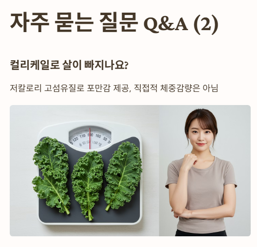 자주 묻는 질문 Q&A 2