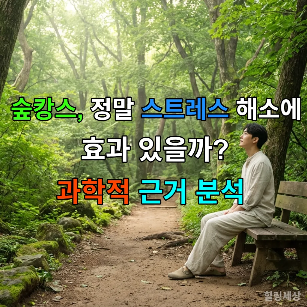 울창한 숲길을 걷는 사람의 뒷모습. 햇살이 나뭇잎 사이로 쏟아져 내리는 평화로운 숲 풍경
