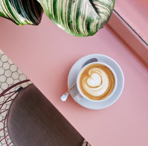 컴포즈커피 창업에 대하여 알아보기