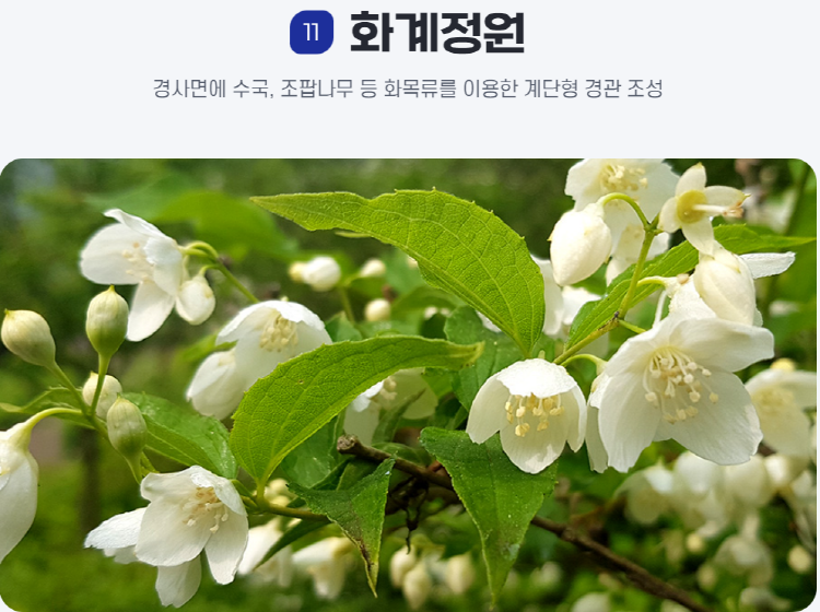 물맑음 수목원