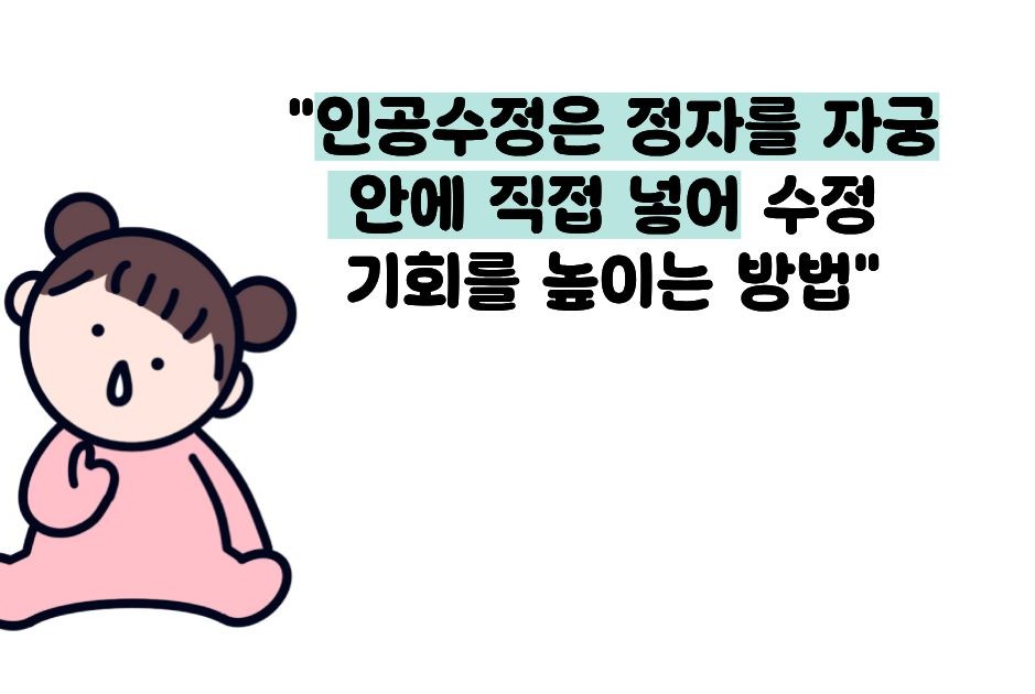 인공수정과 시험관아기 차이점