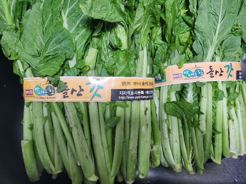 여수 돌산갓 사진