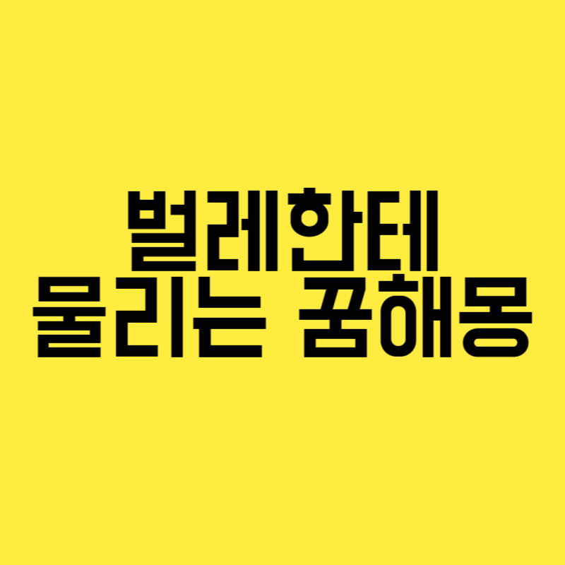 벌레한테 물리는 꿈해몽