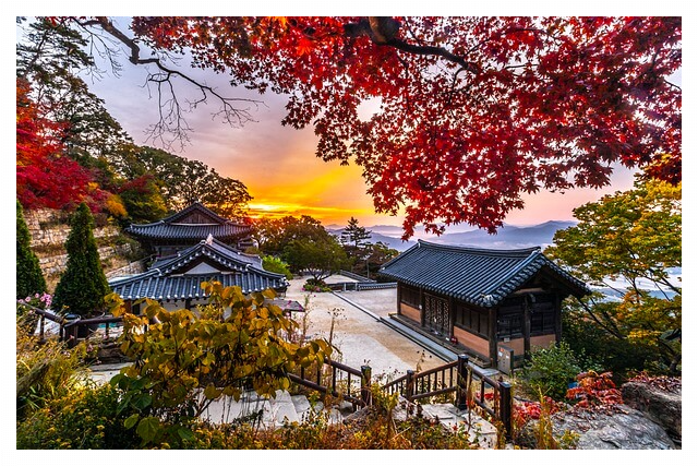 청와대 관람예약 신청하기 - 청와대 관람예약 유의사항