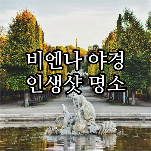 비엔나 야경 촬영 명소 프란츠 요제프..