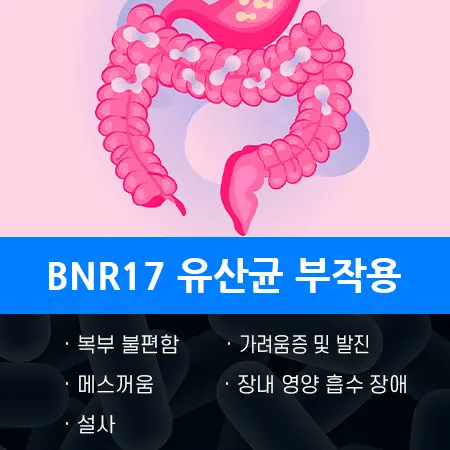 다이어트 BNR17 유산균