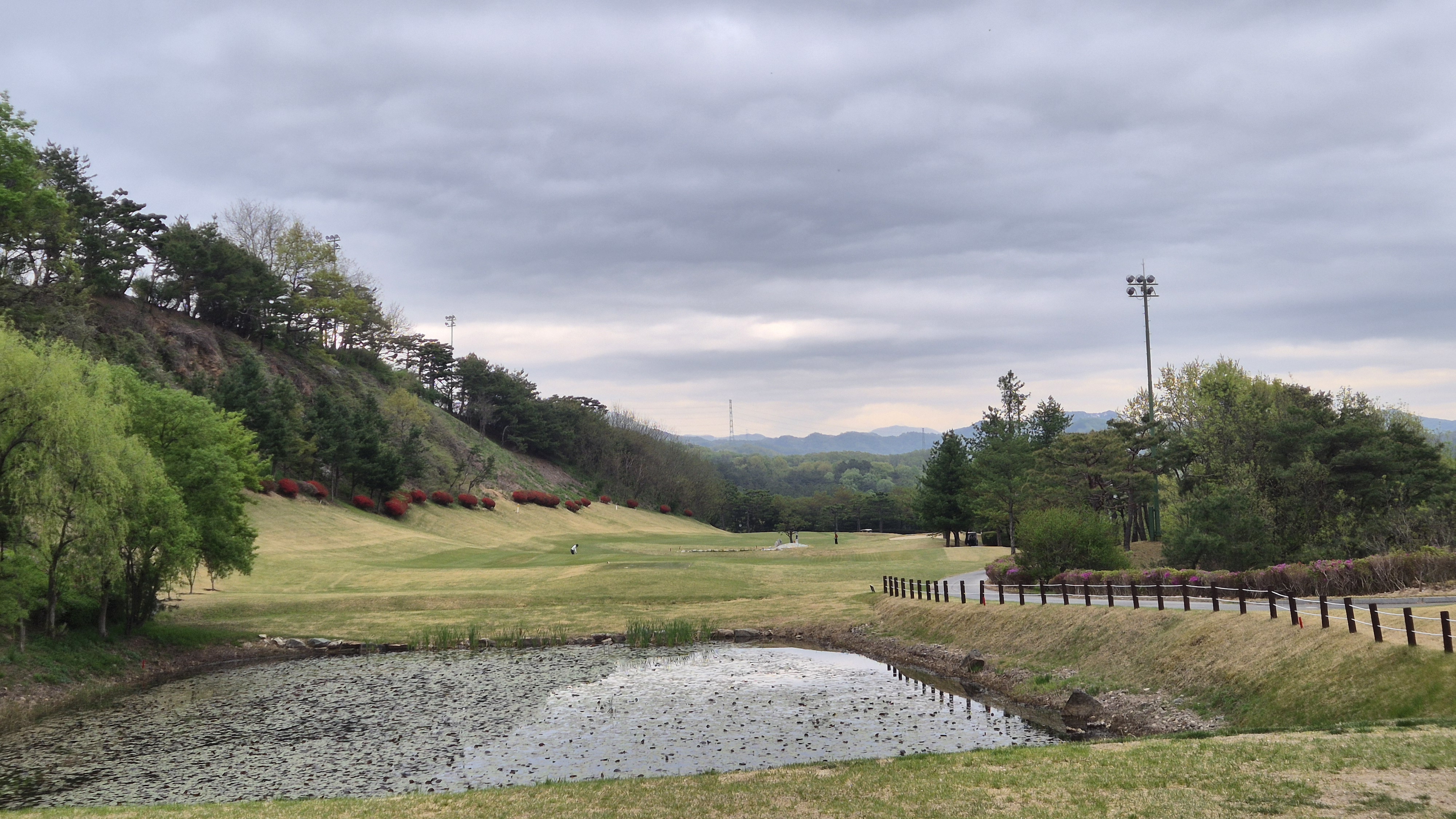 시그너스cc 코튼-라미 코스 사진 및 공략 정보
