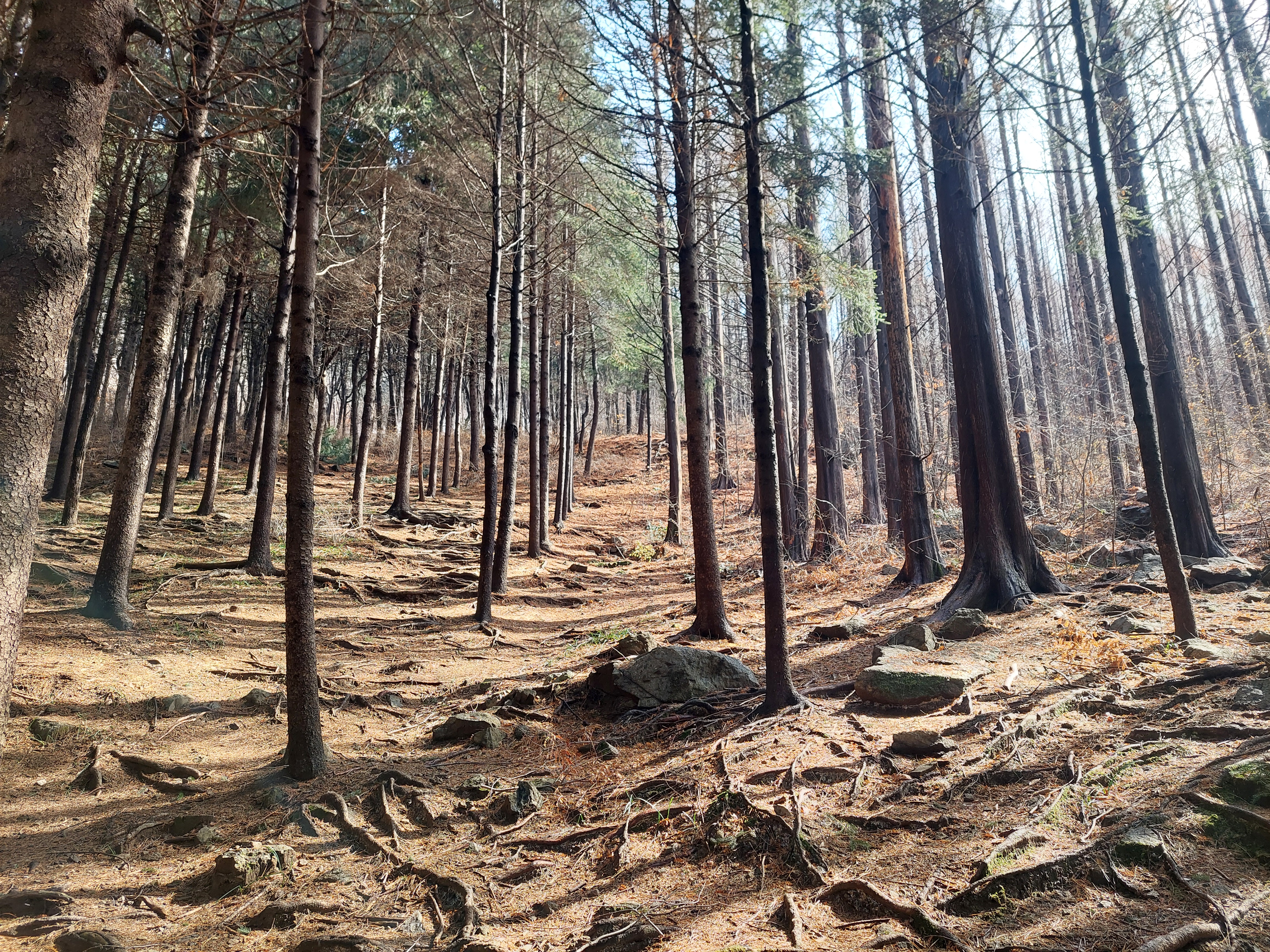 안산