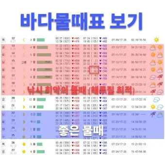 낚시 물때표 보는 법 바다 물결 밀물 썰물 이해하기_14