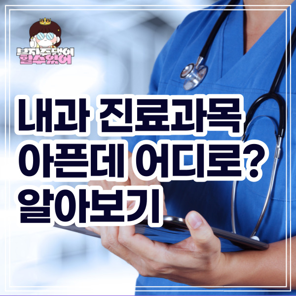 내과 진료과목 정리